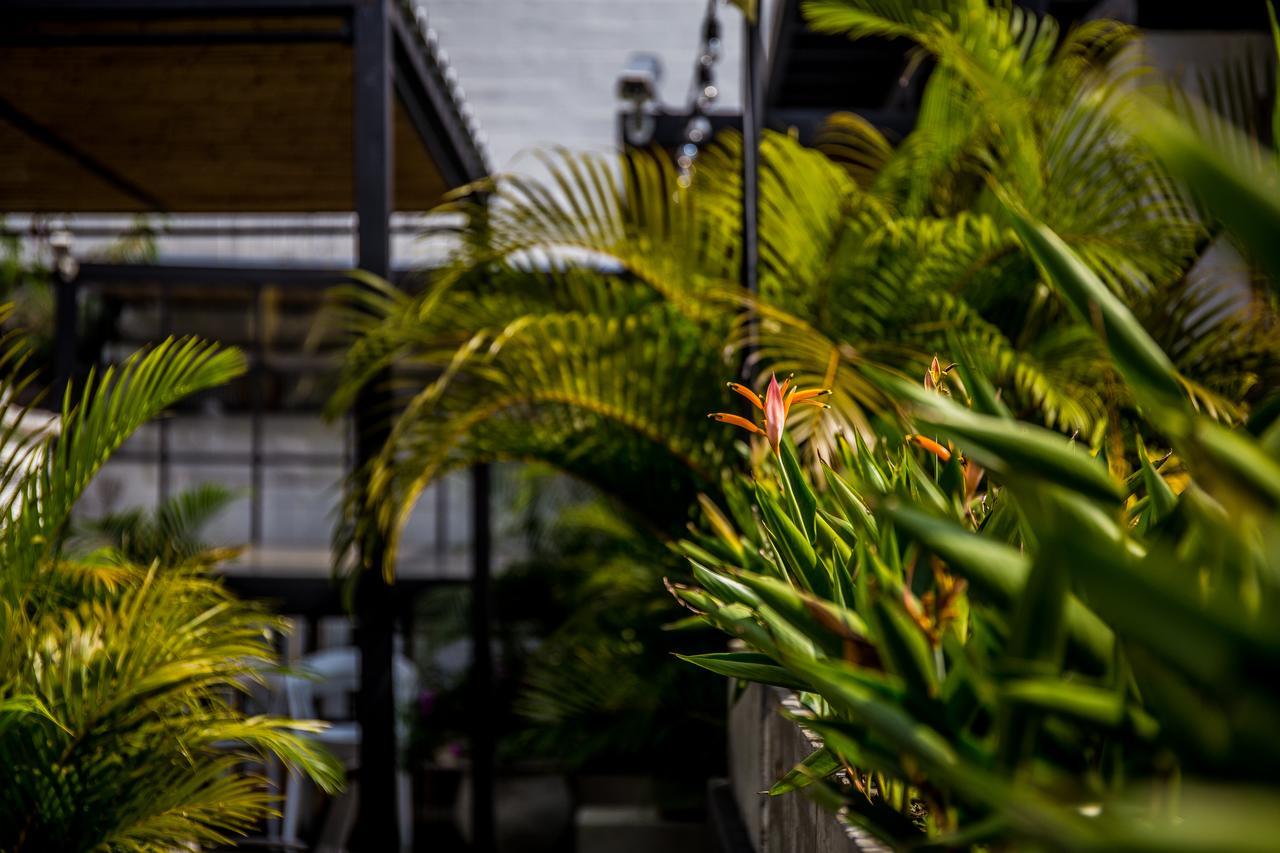 Alko Hotel Boutique กาลี ภายนอก รูปภาพ